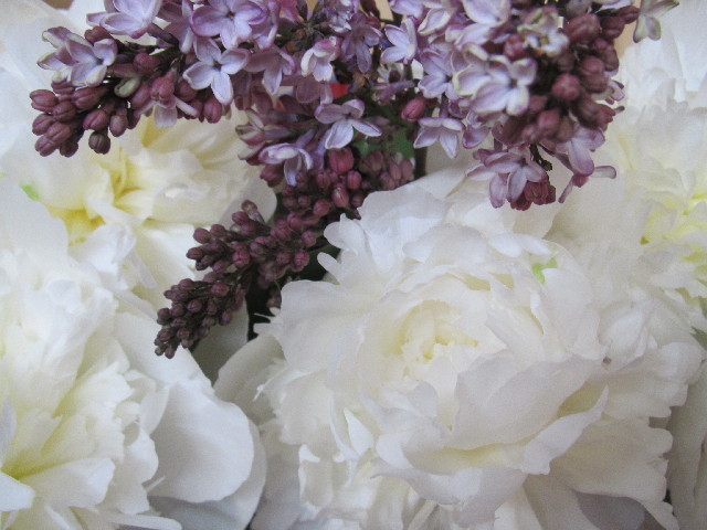 ファイル 2441-5.jpg