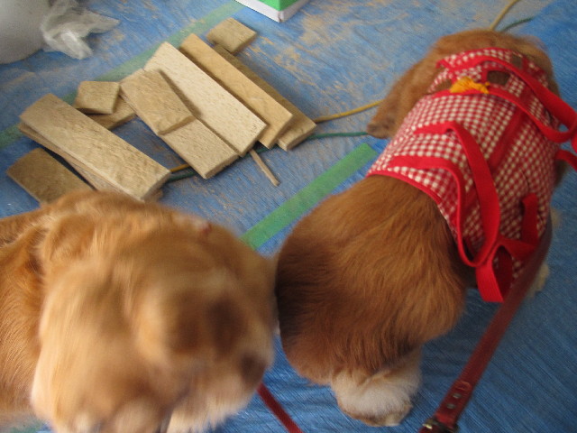 ファイル 2442-2.jpg