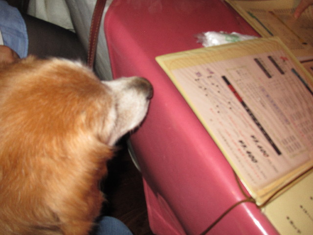 ファイル 2444-3.jpg