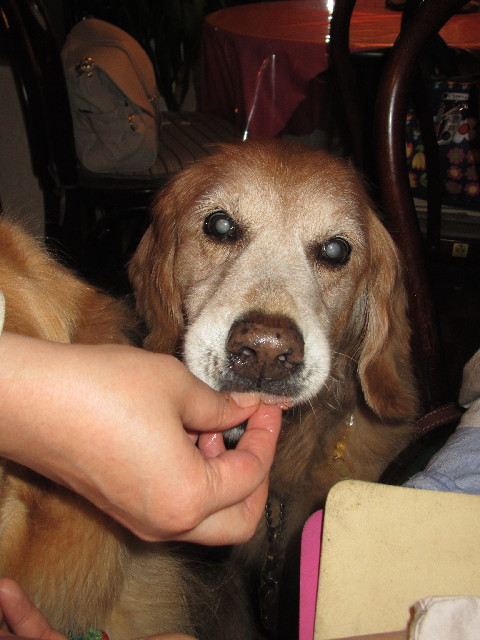 ファイル 2444-5.jpg