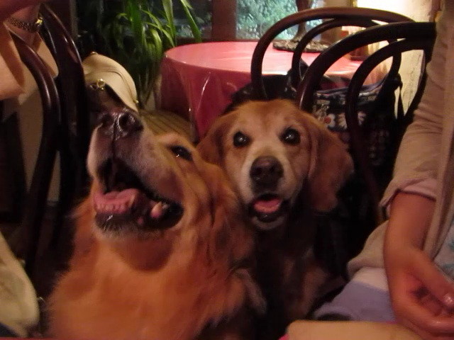 ファイル 2445-1.jpg