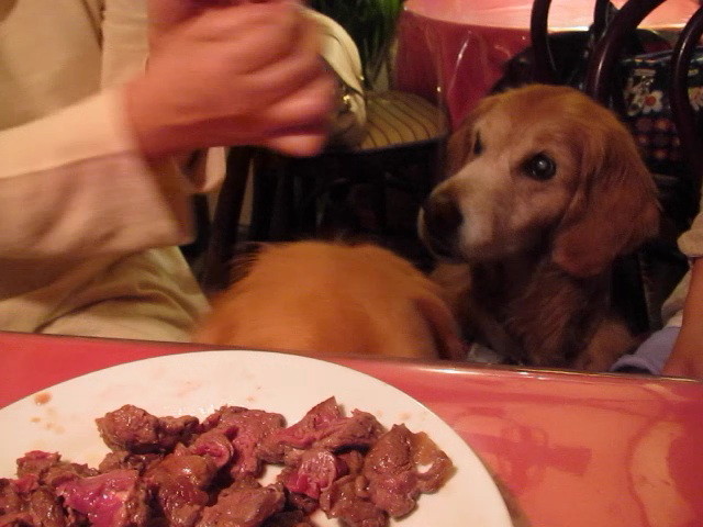 ファイル 2445-2.jpg