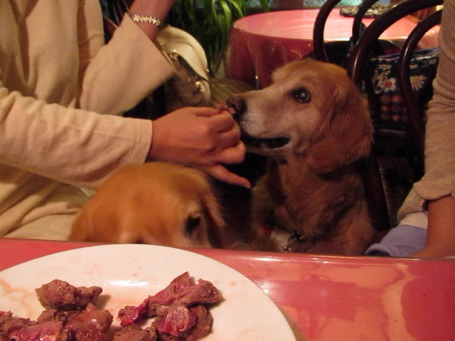 ファイル 2445-3.jpg