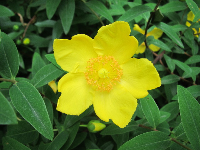 ファイル 2447-4.jpg