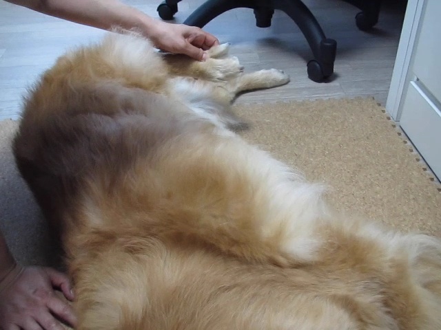 ファイル 2451-3.jpg