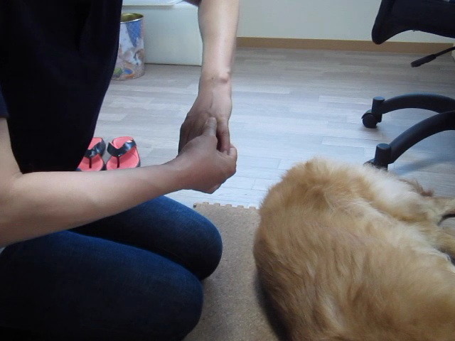 ファイル 2451-4.jpg