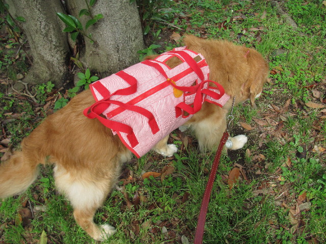 ファイル 2451-5.jpg