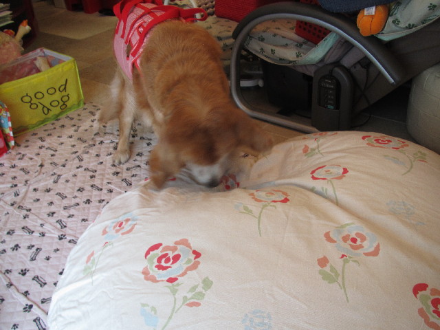 ファイル 2453-3.jpg