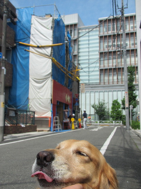 ファイル 2455-1.jpg