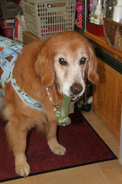 ファイル 2455-5.jpg