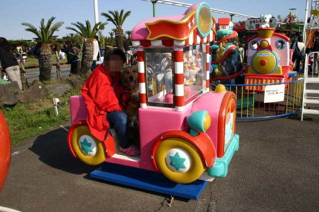 ファイル 246-4.jpg