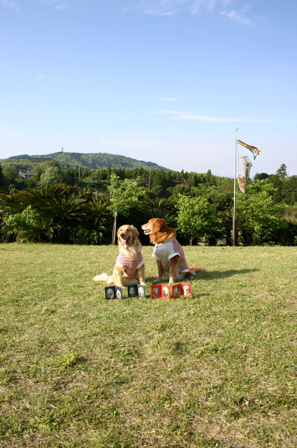 ファイル 246-5.jpg