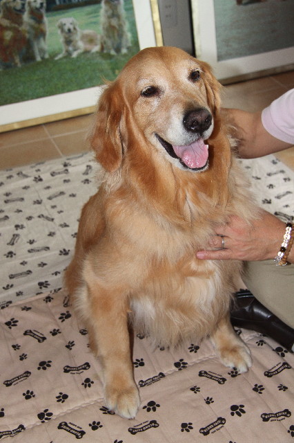 ファイル 2463-3.jpg