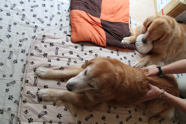 ファイル 2463-5.jpg