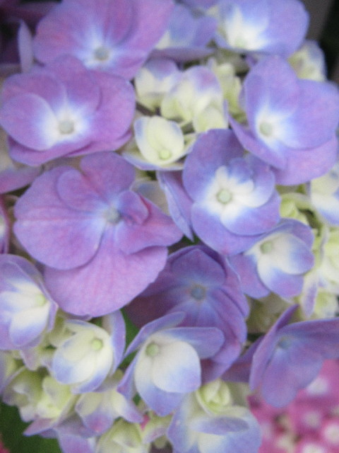 ファイル 2464-3.jpg