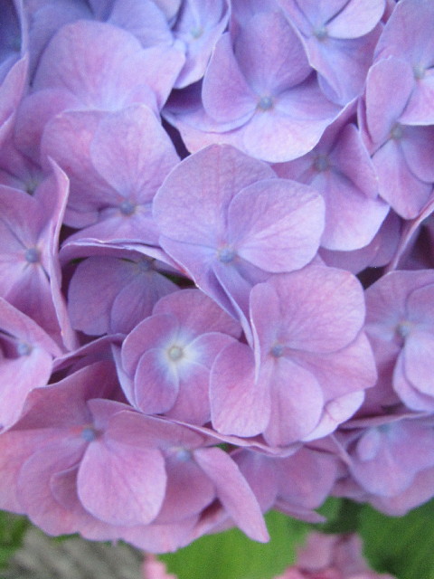 ファイル 2464-4.jpg