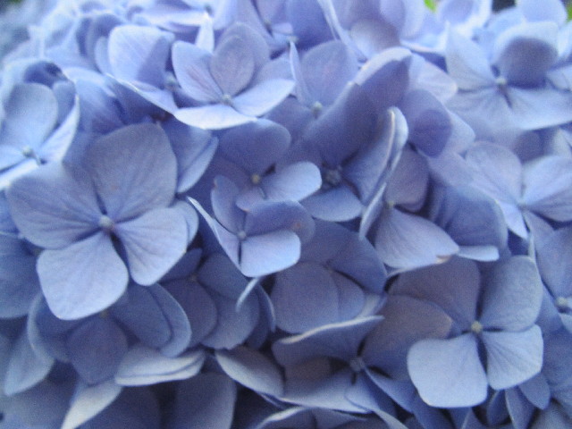 ファイル 2464-5.jpg