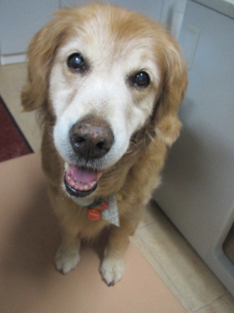 ファイル 2465-2.jpg