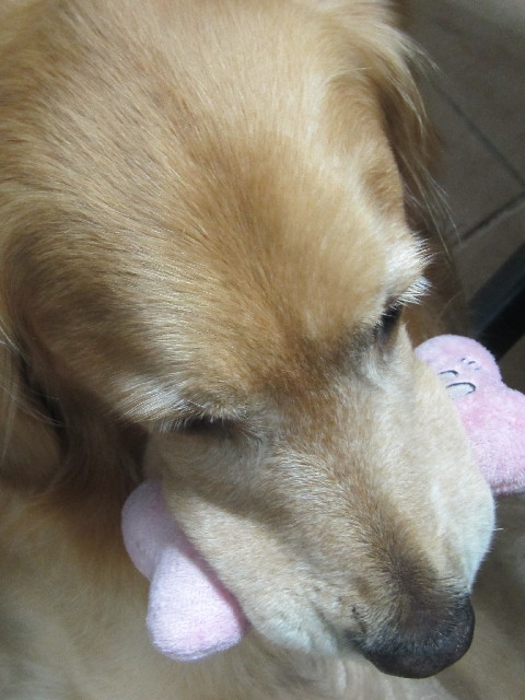 ファイル 2465-3.jpg