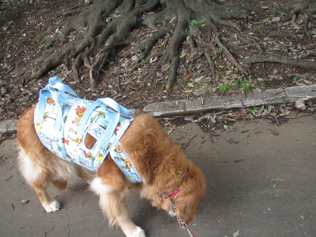 ファイル 2465-4.jpg