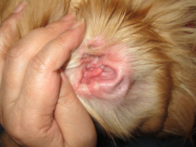 ファイル 2467-1.jpg