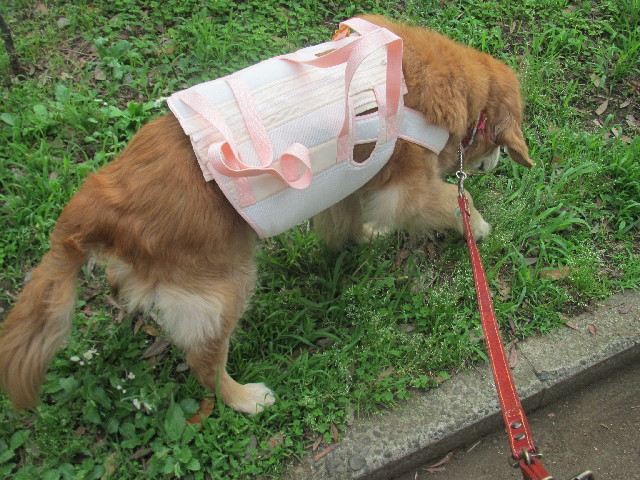 ファイル 2469-2.jpg