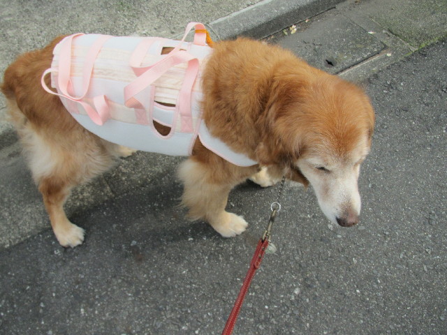 ファイル 2469-4.jpg