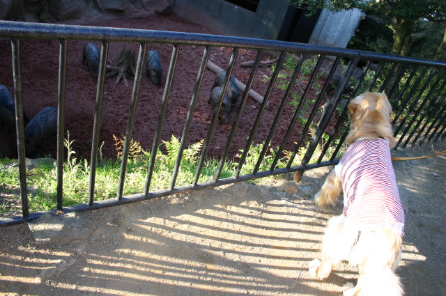 ファイル 247-1.jpg