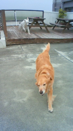 ファイル 2472-3.jpg