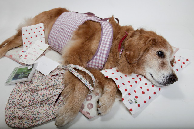 ファイル 2473-1.jpg