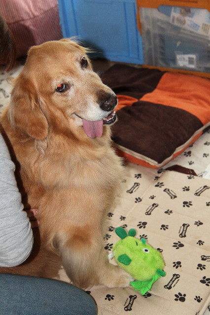 ファイル 2474-3.jpg