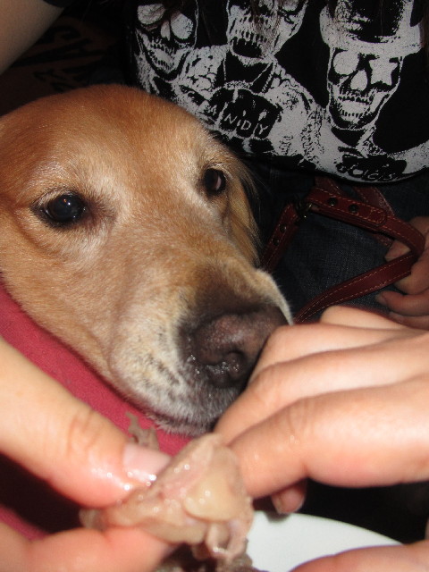 ファイル 2474-4.jpg