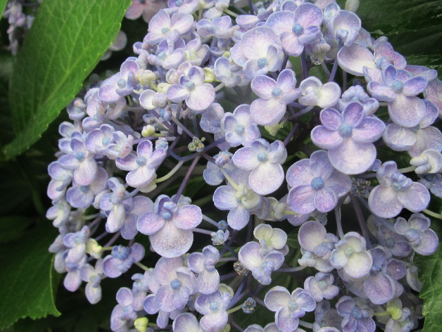 ファイル 2477-2.jpg