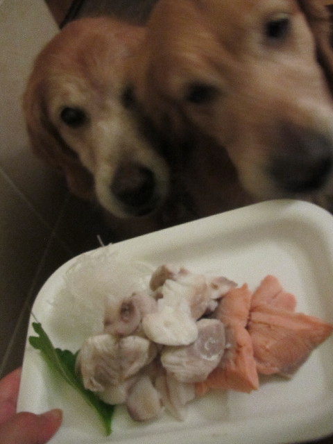 ファイル 2479-3.jpg