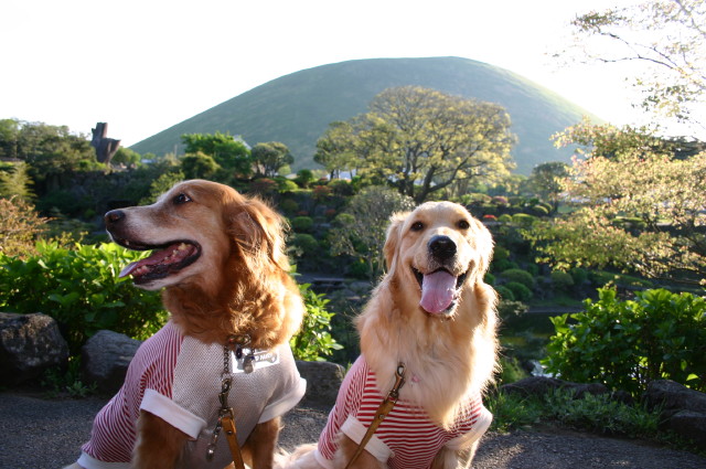 ファイル 248-3.jpg