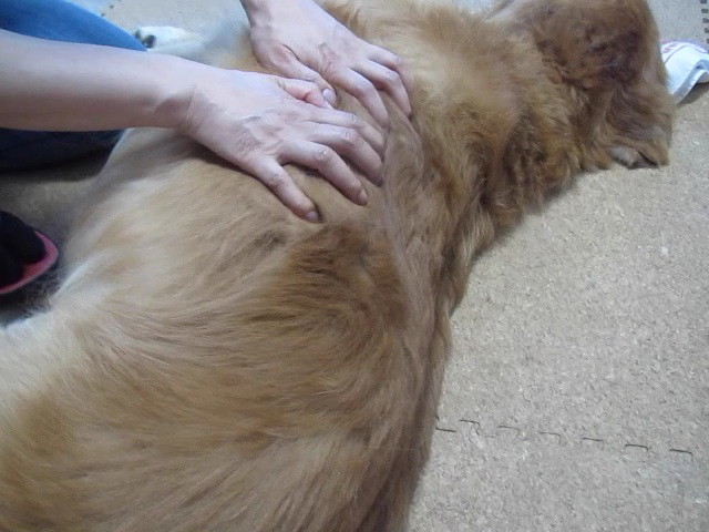 ファイル 2484-2.jpg