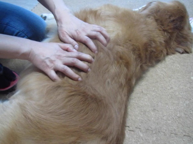 ファイル 2484-3.jpg