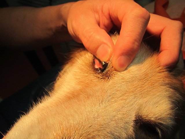 ファイル 2485-1.jpg