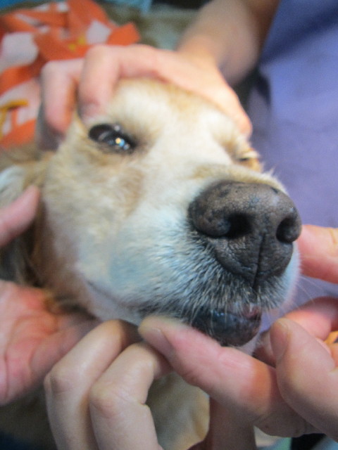 ファイル 2485-4.jpg