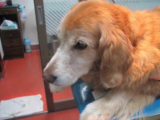 ファイル 2485-5.jpg