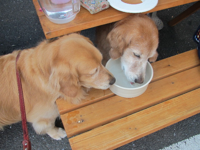 ファイル 2486-4.jpg