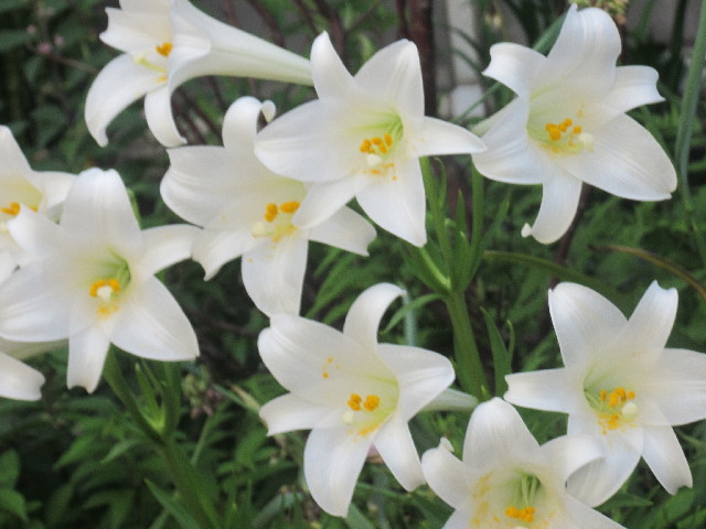 ファイル 2486-5.jpg