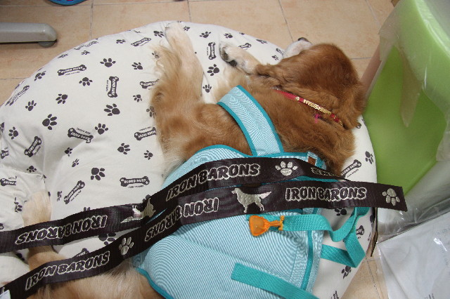 ファイル 2487-4.jpg