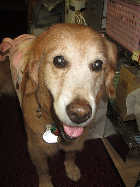 ファイル 2489-4.jpg