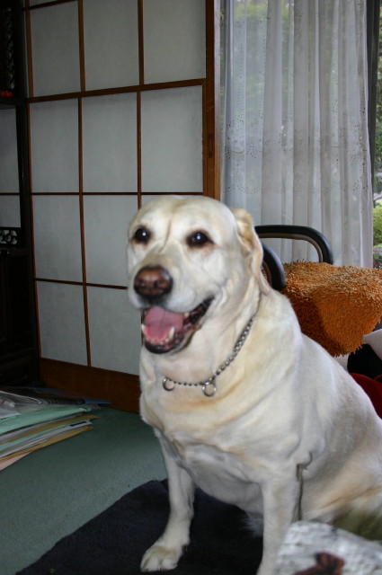 ファイル 249-1.jpg