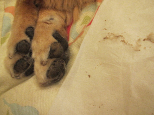 ファイル 2491-3.jpg