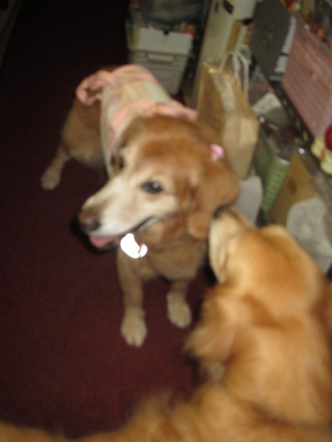 ファイル 2492-5.jpg