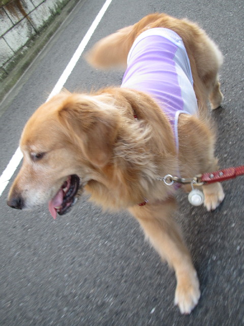 ファイル 2495-2.jpg