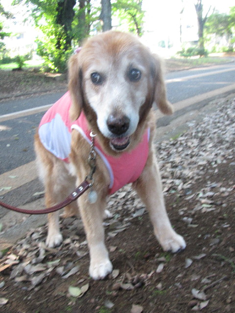 ファイル 2495-3.jpg