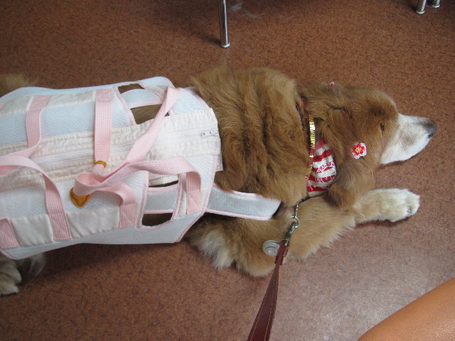 ファイル 2497-1.jpg